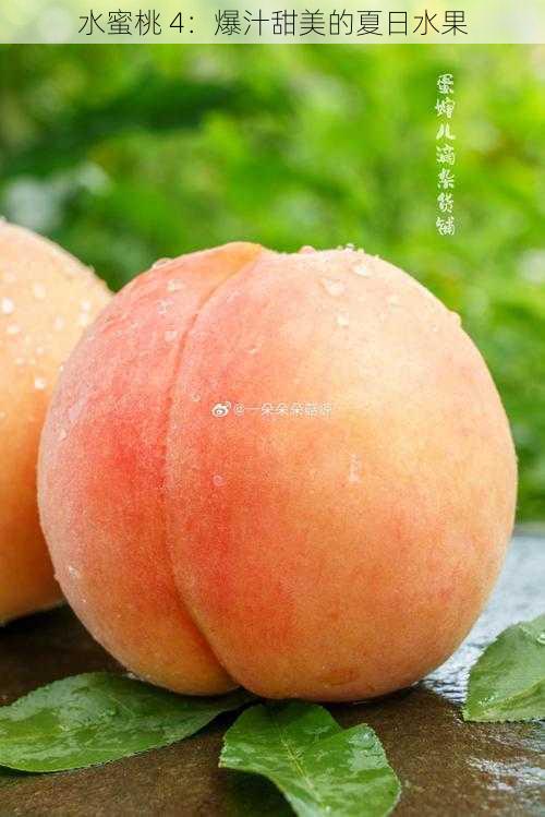 水蜜桃 4:爆汁甜美的夏日水果