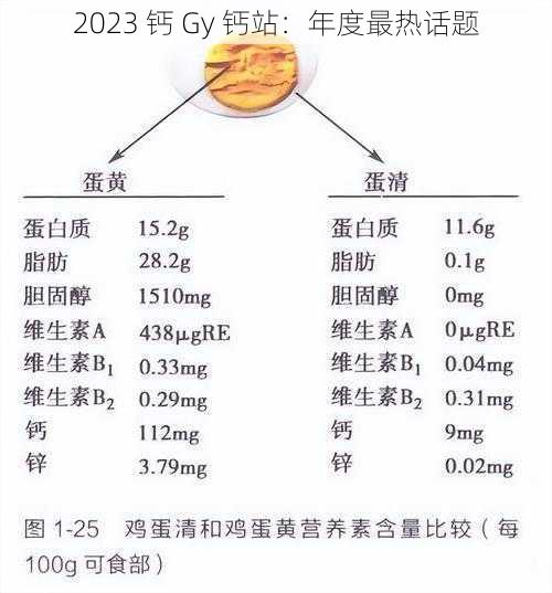 2023 钙 Gy 钙站:年度最热话题